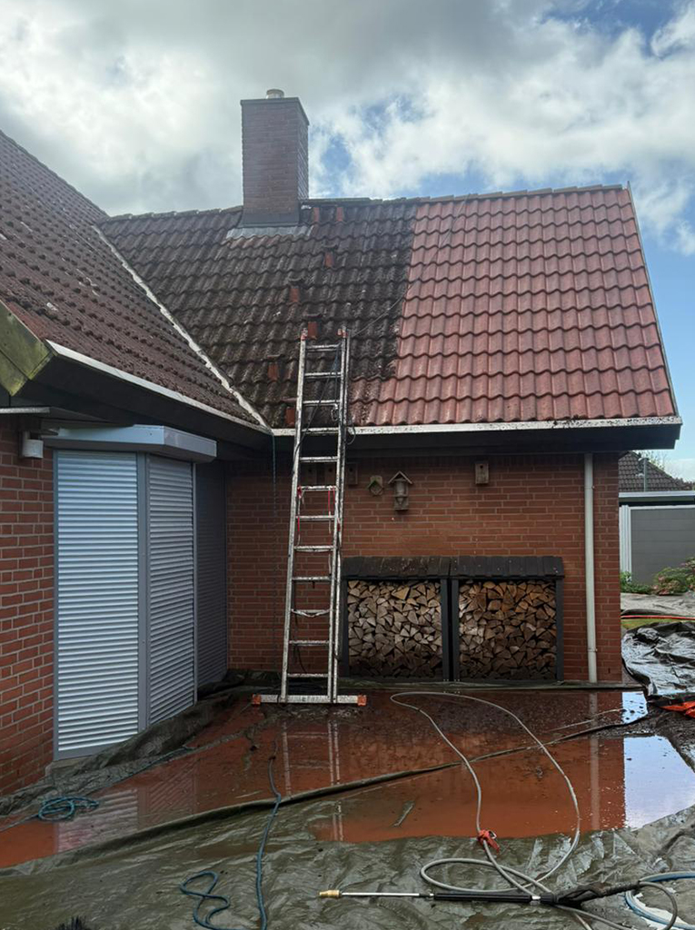 Dachreinigung in Scharbeutz Referenz