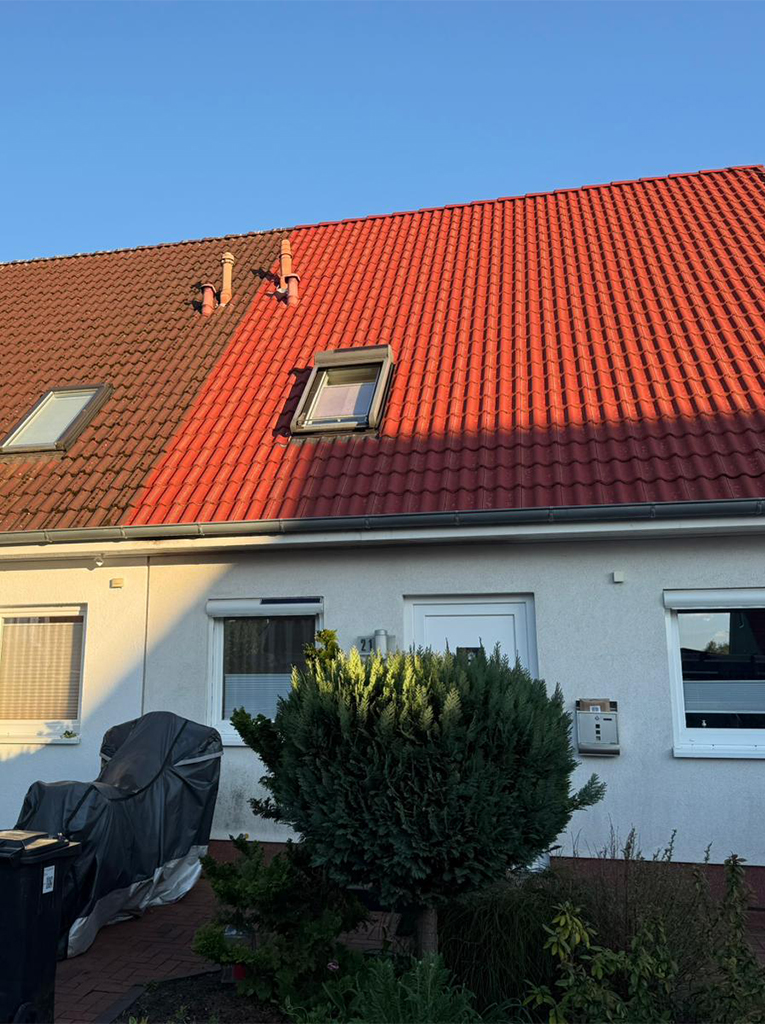 Dachreinigung in Bad Segeberg 9