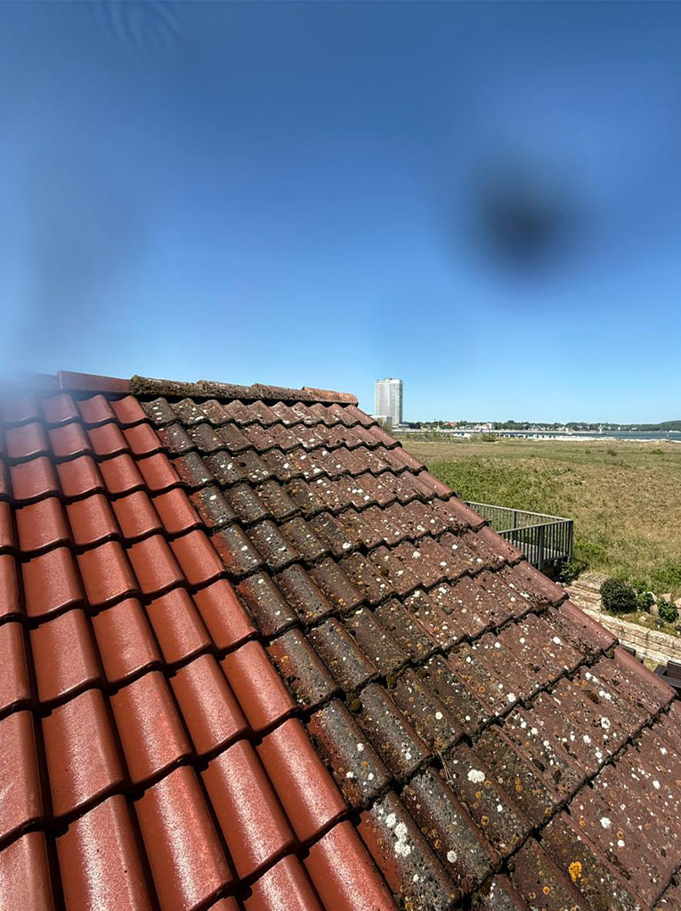 Dachreinigung in Stockelsdorf Referenz 11